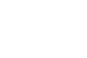Logo 10