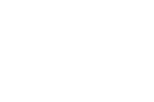 Logo 9