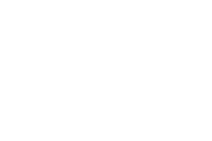Logo 8