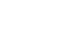 Logo 7