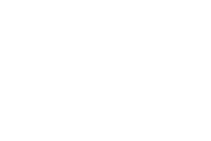 Logo 6