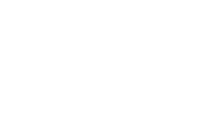 Logo 11
